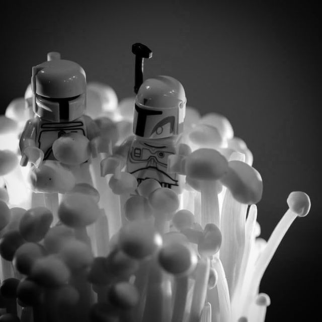 lego-white-boba-fett-mushrooms-dreepycark